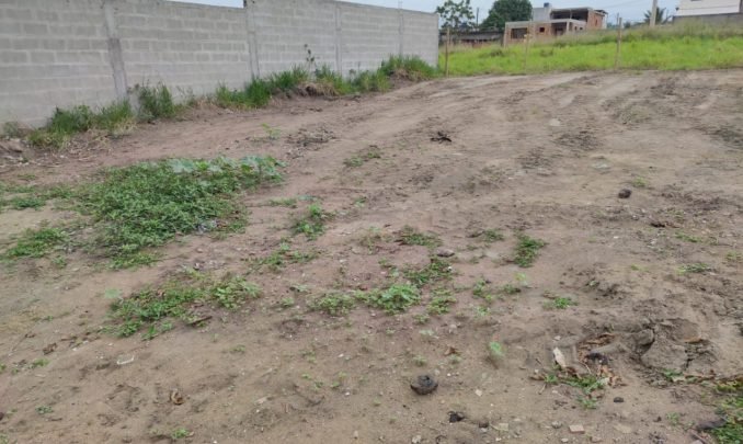 WhatsApp-Image-2020-07-10-at-10.29.29